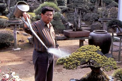 Mitsuya watering