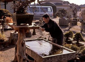 Mitsuya and frozen fish basin