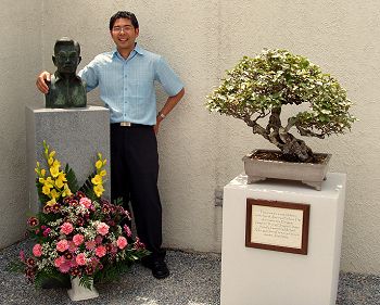 Eleagnus at the Naka Pavilion