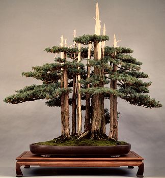 Goshin, 11-tree version