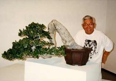 Oak, 1996