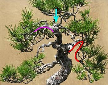 Bunjin branching