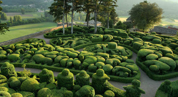 Boxwood topiary, France