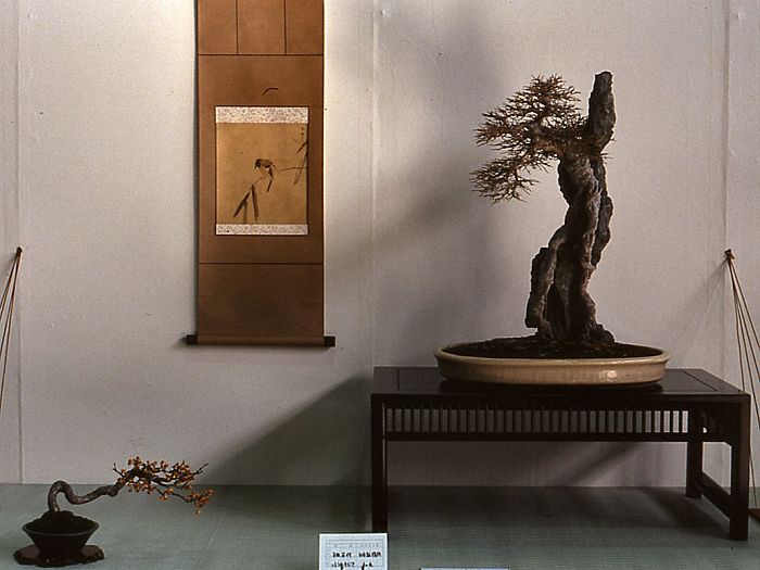 Meifuten show, Nagoya