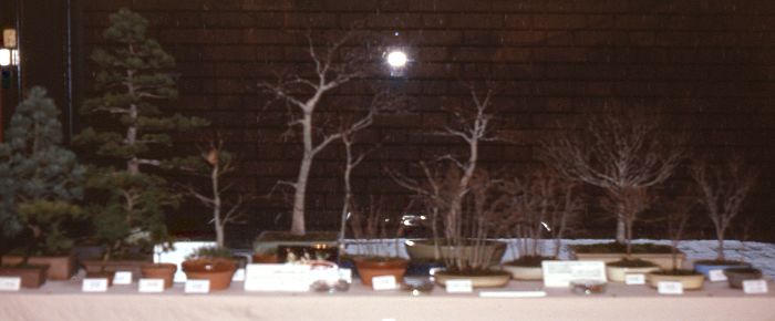 Meifuten show, Nagoya