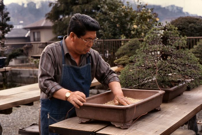 Mitsuyasan in Odawara