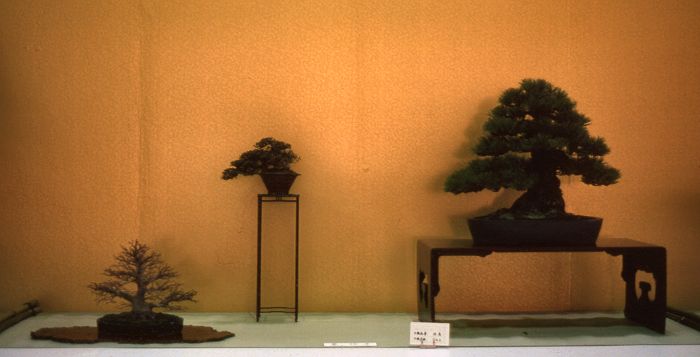 Meifuten show, Nagoya