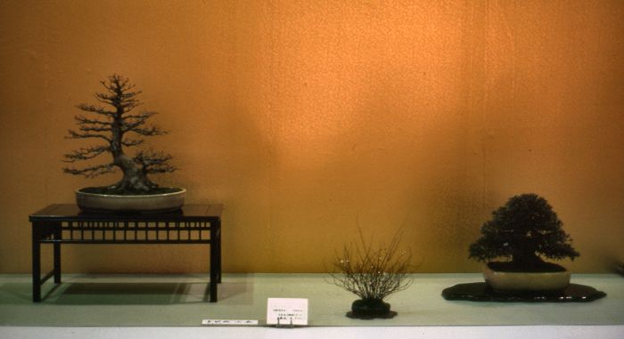 Meifuten show, Nagoya