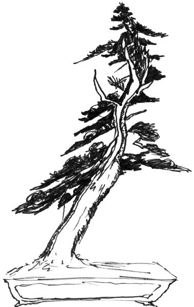 Ragle tree sketch