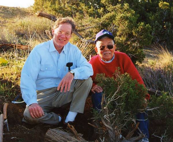 John Naka and Felix Laughlin collecting a juniper