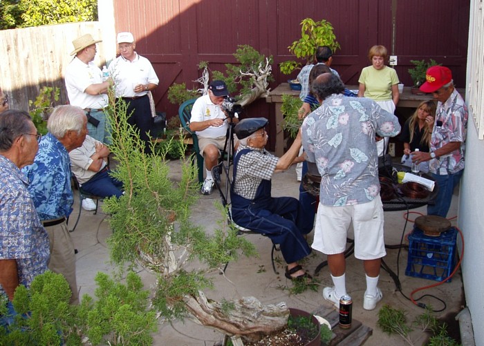 Ficus, John Naka, Mel Ikeda