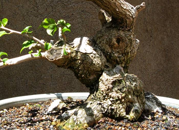 Same view, 15 years later