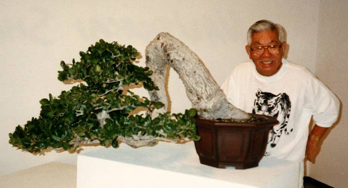 John Naka and cascading oak