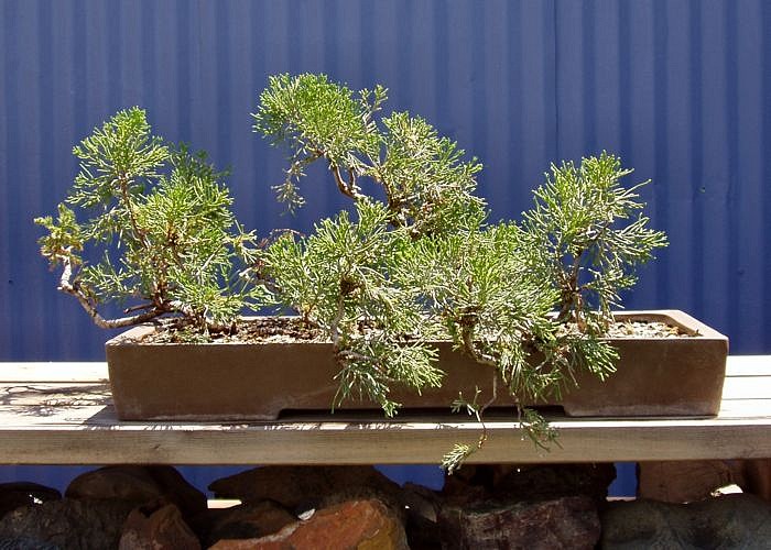 Raft, after separation