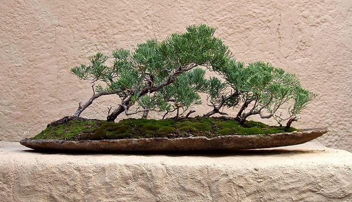 Raft, after training