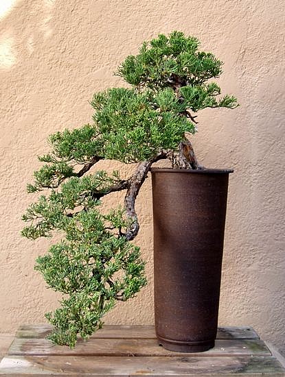 Shorter, but sweeter